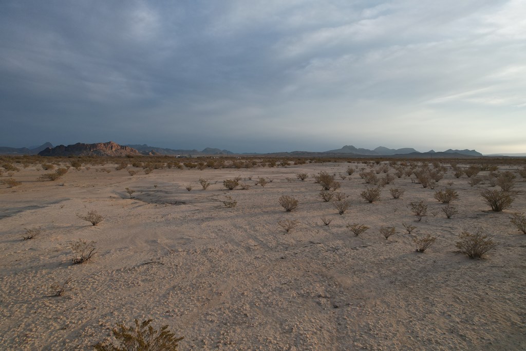 450 Bad Cactus Rd, Terlingua, Texas image 8