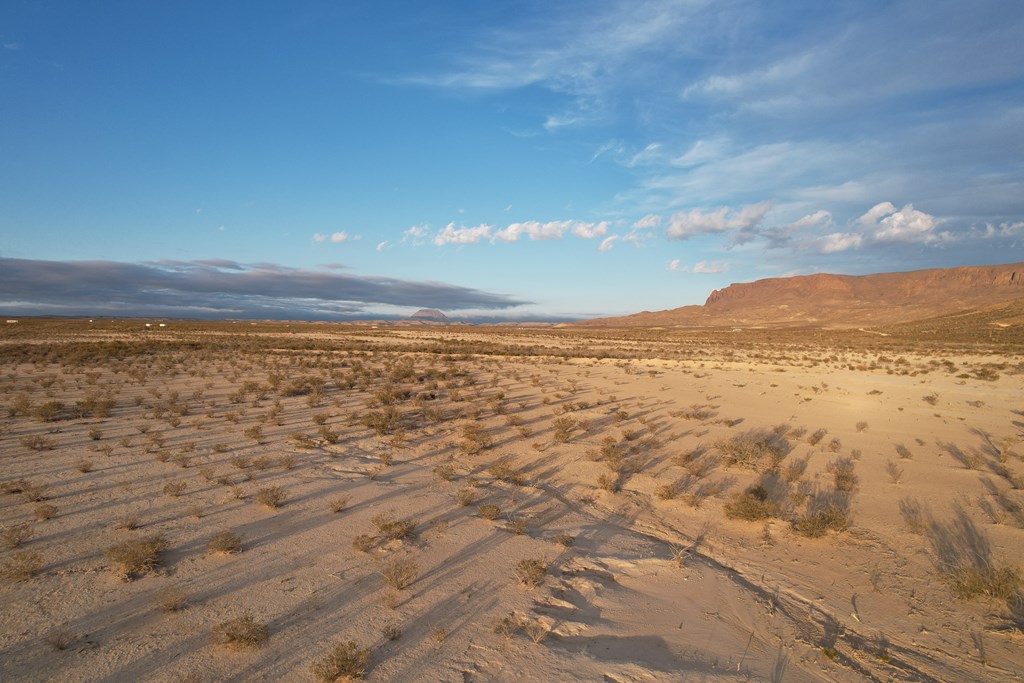 450 Bad Cactus Rd, Terlingua, Texas image 5