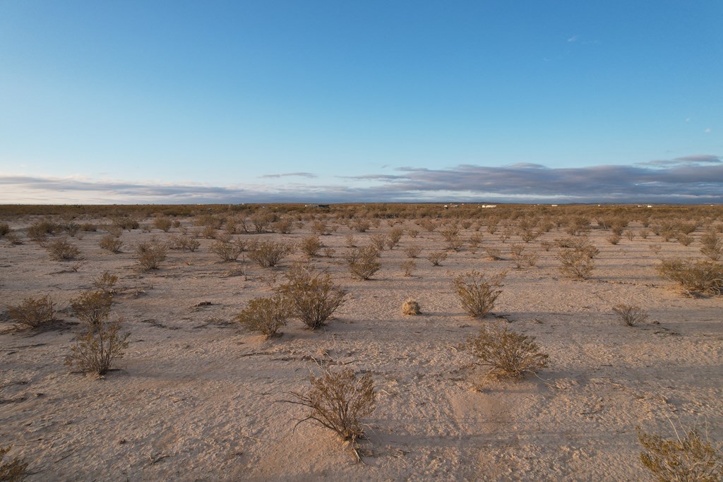 450 Bad Cactus Rd, Terlingua, Texas image 7