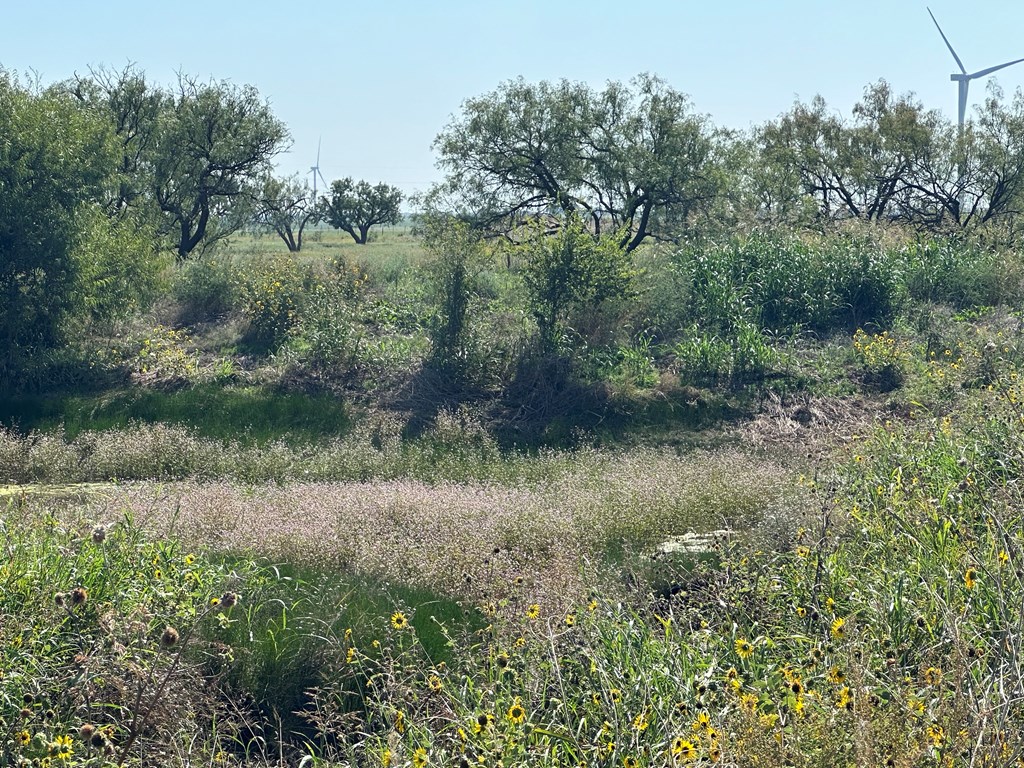 15517 Fm 612, Fluvanna, Texas image 4