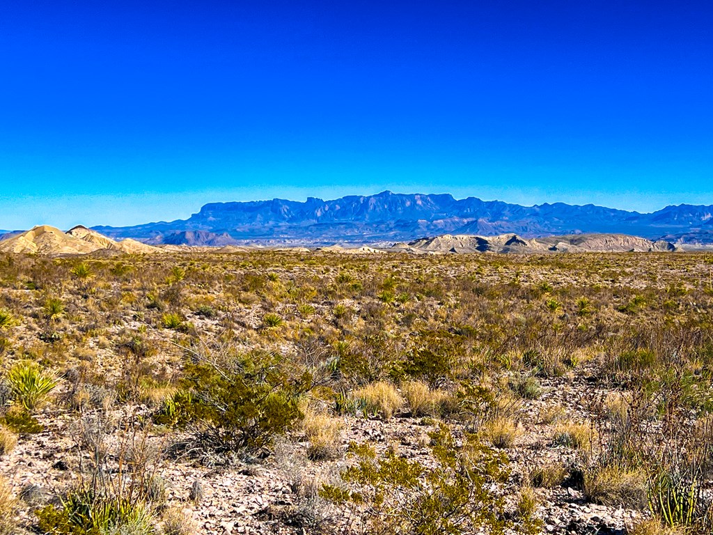 52742 Mariposa Mine Rd, Terlingua, Texas image 23