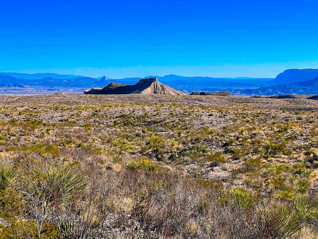 52742 Mariposa Mine Rd, Terlingua, Texas image 18