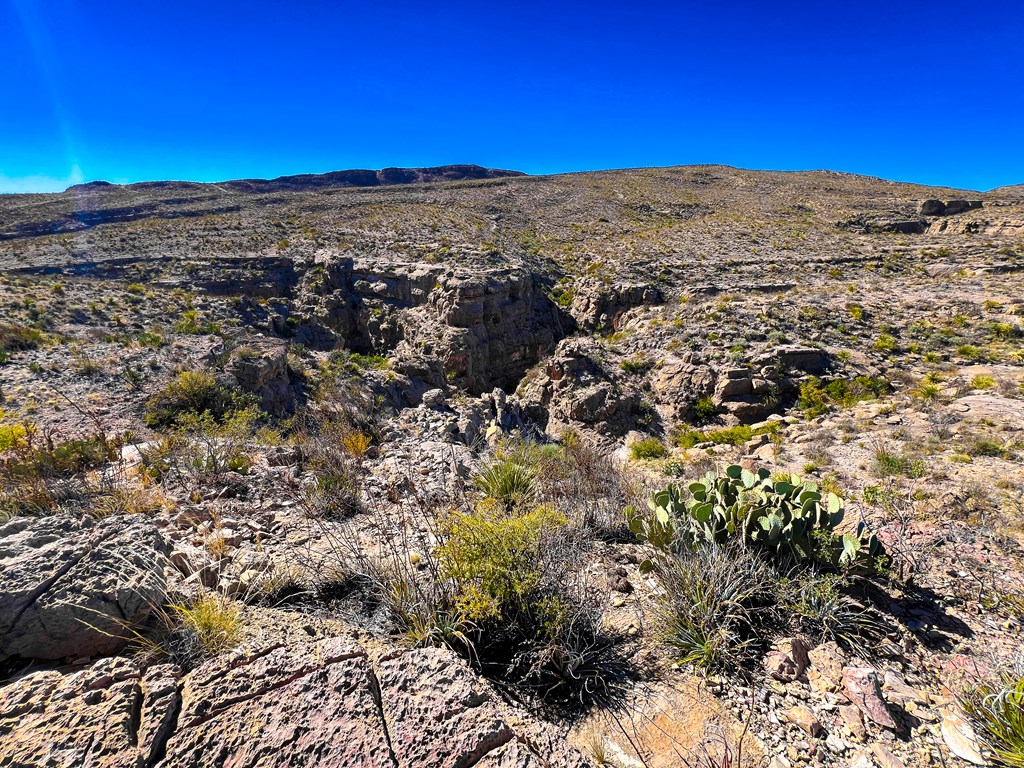 52742 Mariposa Mine Rd, Terlingua, Texas image 14