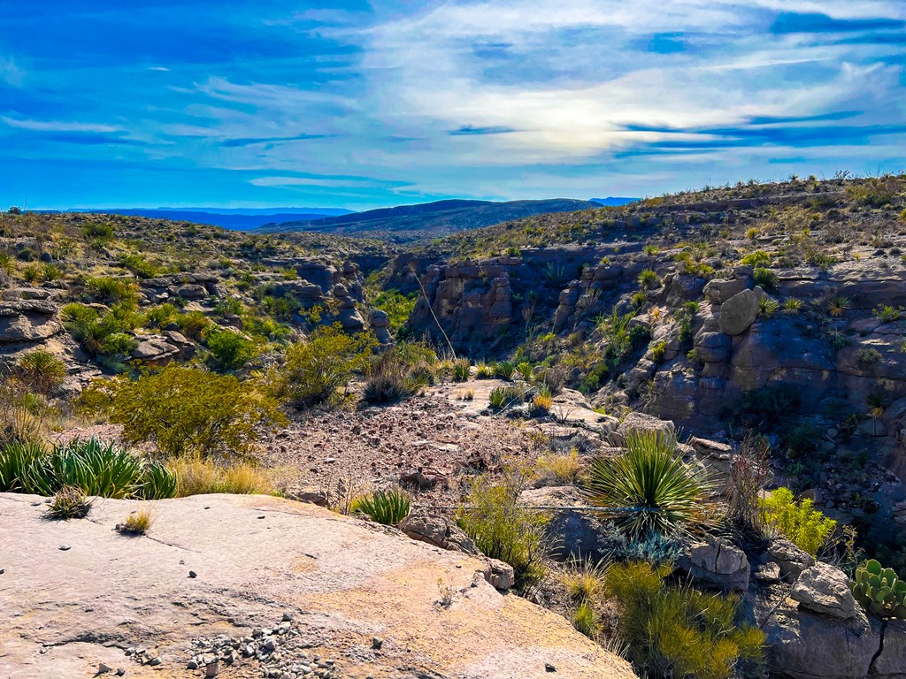 52742 Mariposa Mine Rd, Terlingua, Texas image 10