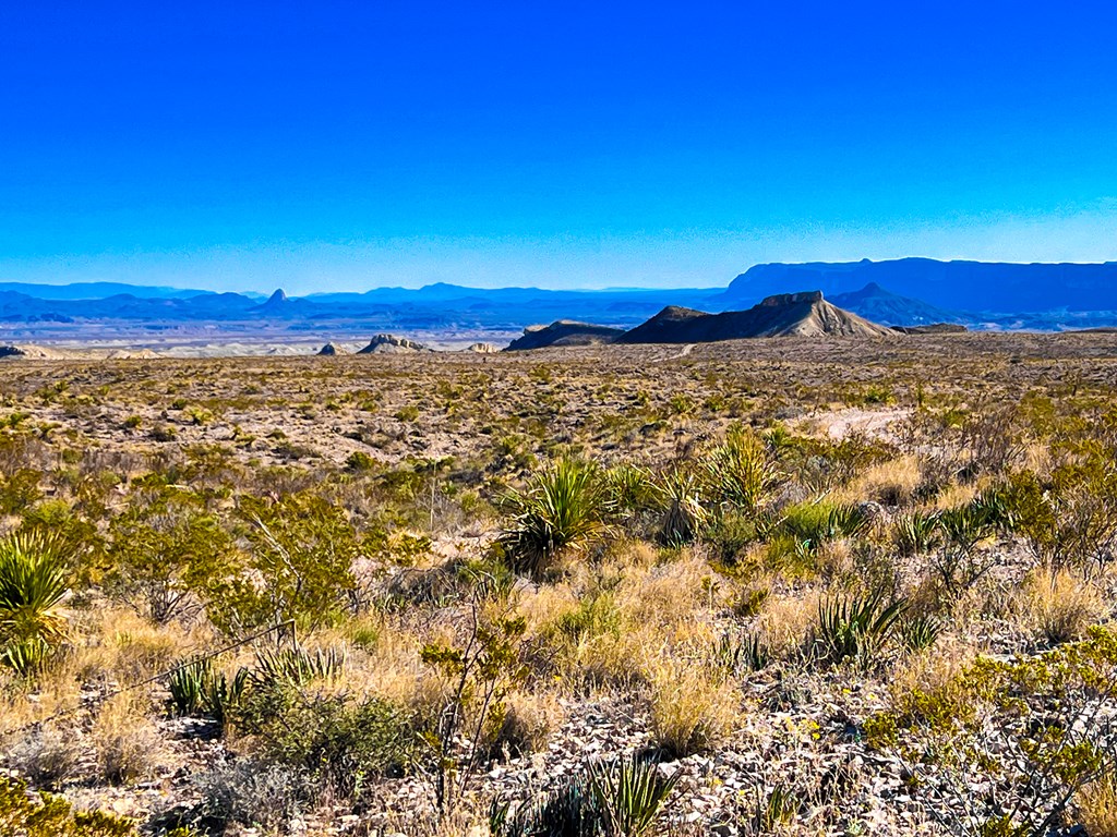 52742 Mariposa Mine Rd, Terlingua, Texas image 22