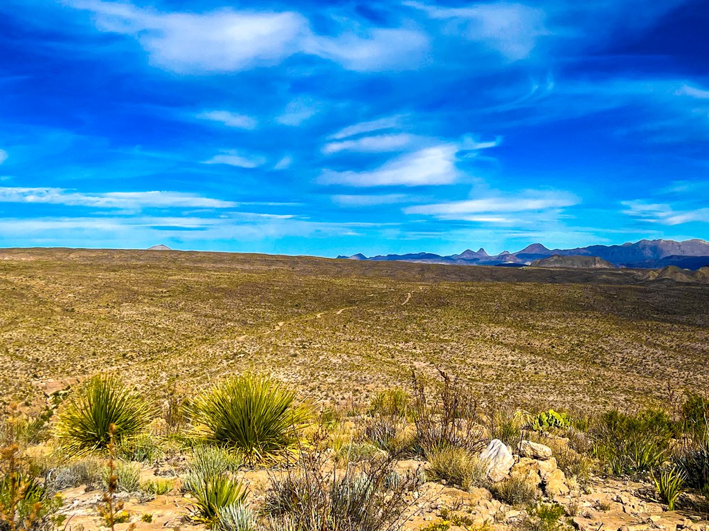 52742 Mariposa Mine Rd, Terlingua, Texas image 28