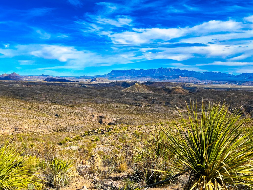 52742 Mariposa Mine Rd, Terlingua, Texas image 29