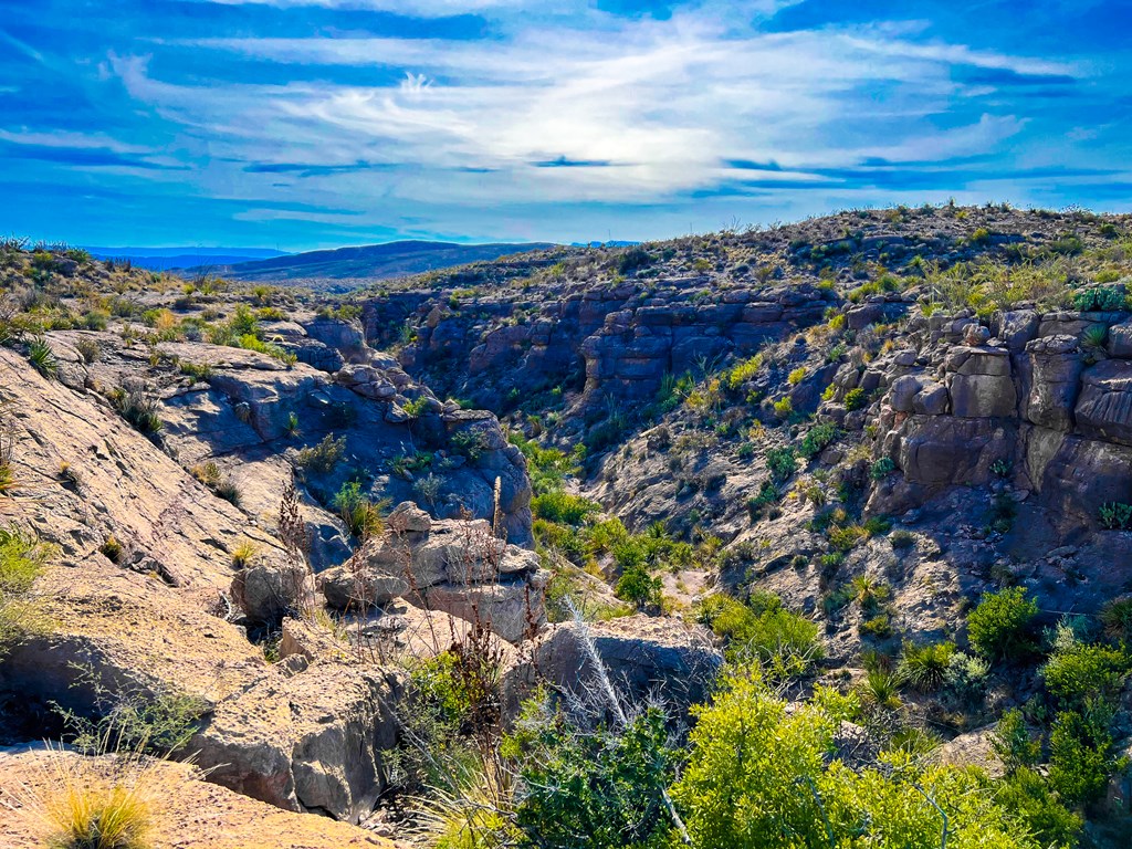 52742 Mariposa Mine Rd, Terlingua, Texas image 4