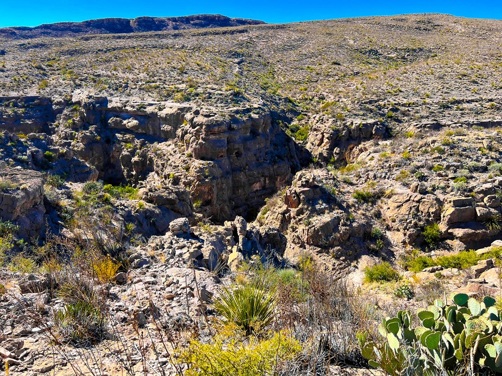 52742 Mariposa Mine Rd, Terlingua, Texas image 3