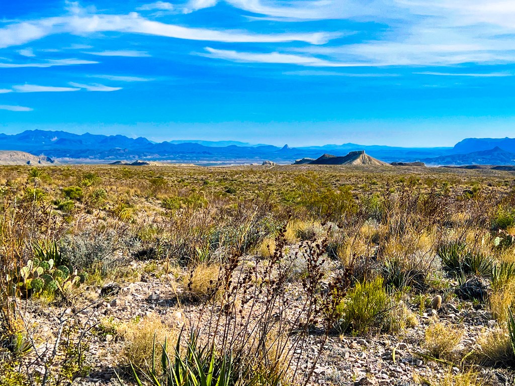 52742 Mariposa Mine Rd, Terlingua, Texas image 33