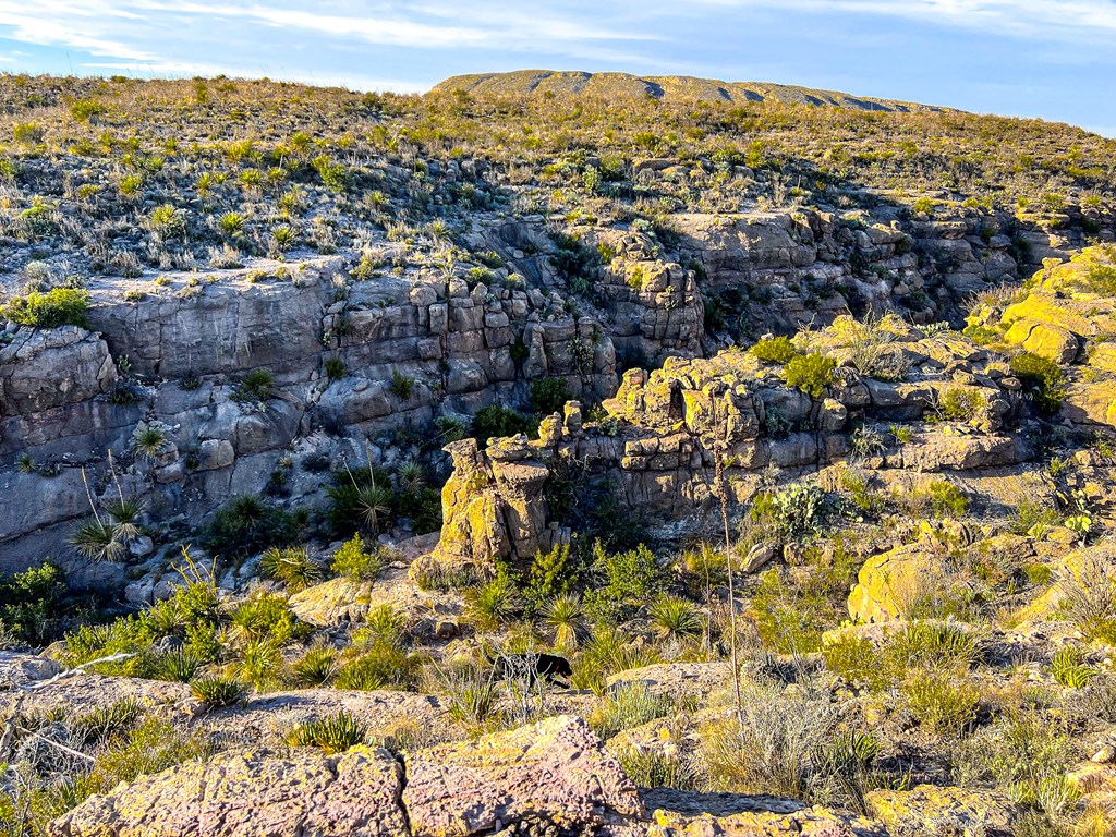 52742 Mariposa Mine Rd, Terlingua, Texas image 11