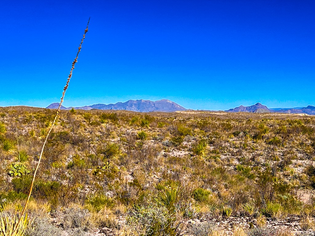 52742 Mariposa Mine Rd, Terlingua, Texas image 20