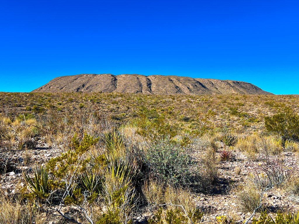 52742 Mariposa Mine Rd, Terlingua, Texas image 19