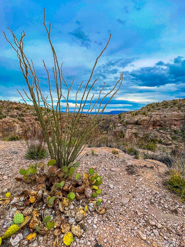 52742 Mariposa Mine Rd, Terlingua, Texas image 40