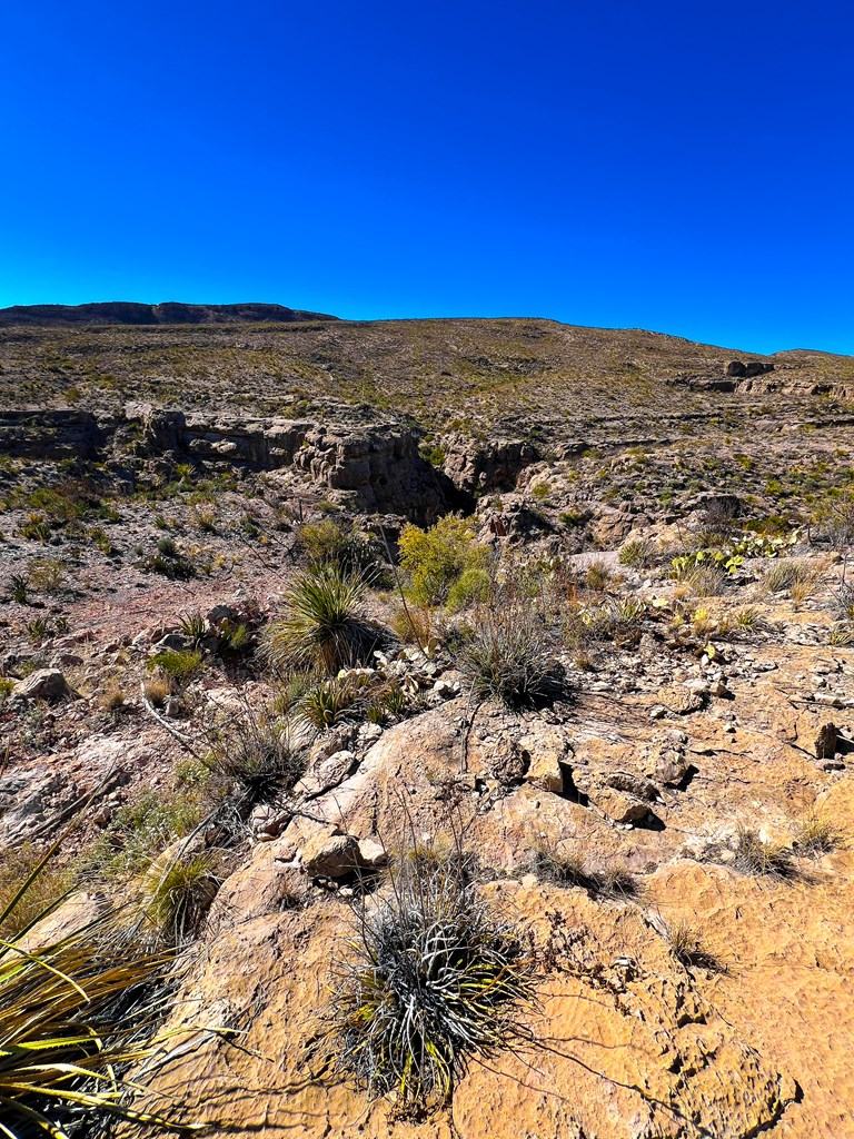 52742 Mariposa Mine Rd, Terlingua, Texas image 12