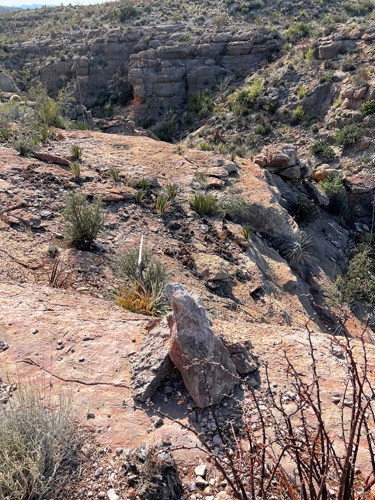 52742 Mariposa Mine Rd, Terlingua, Texas image 32