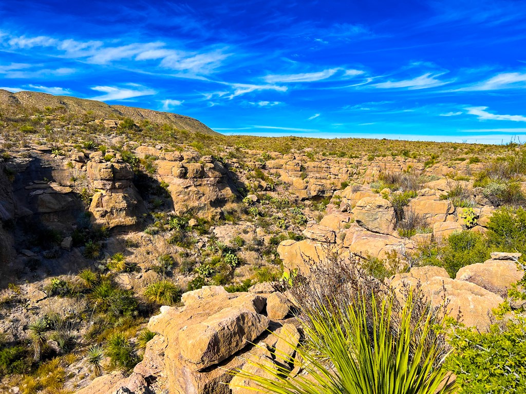 52742 Mariposa Mine Rd, Terlingua, Texas image 9