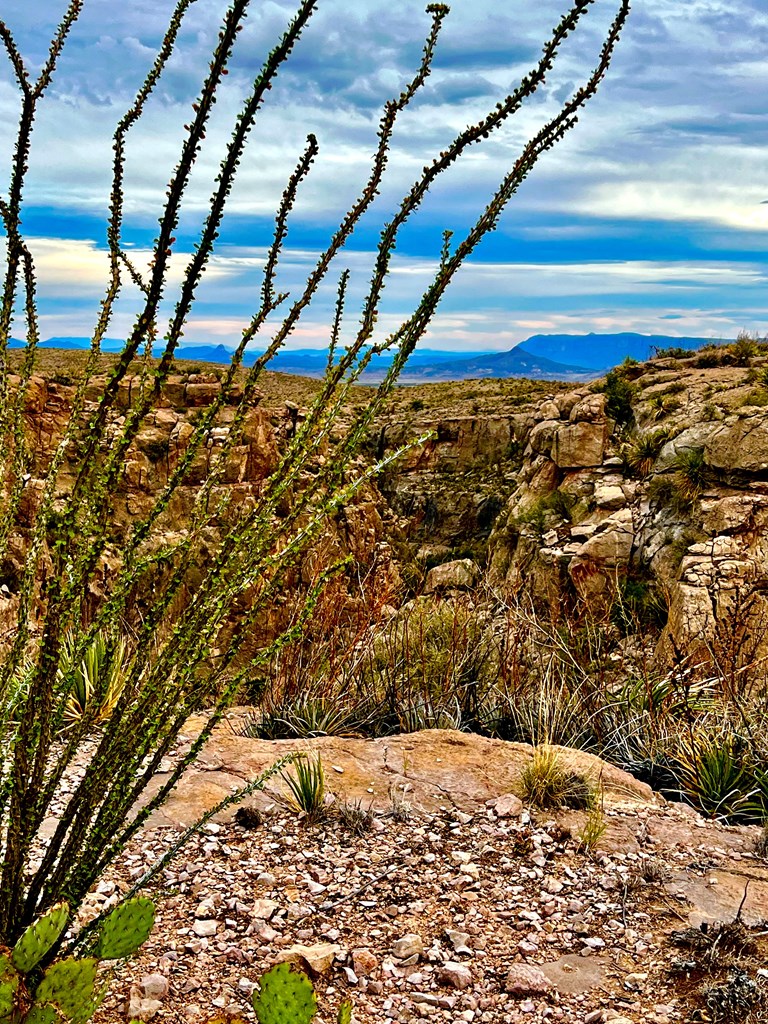 52742 Mariposa Mine Rd, Terlingua, Texas image 7