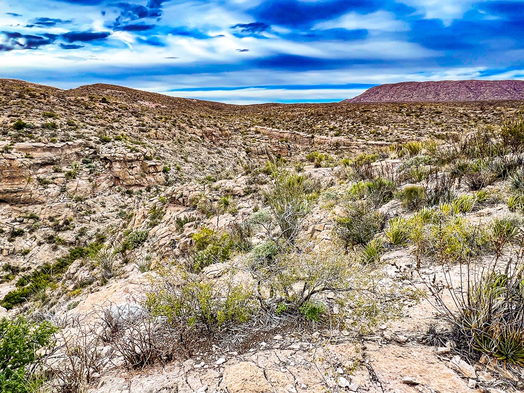 52742 Mariposa Mine Rd, Terlingua, Texas image 39