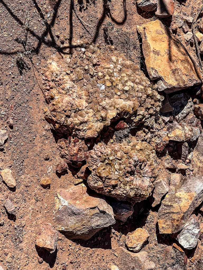 52742 Mariposa Mine Rd, Terlingua, Texas image 26