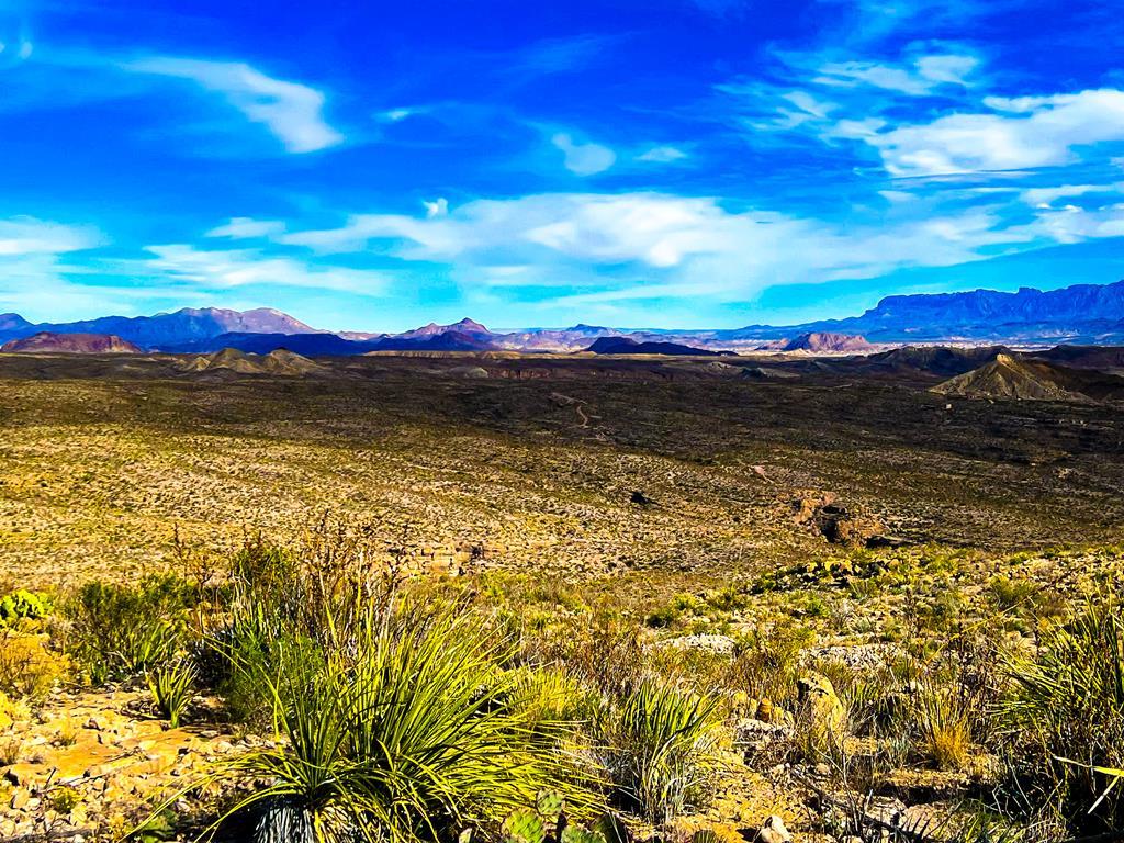 52742 Mariposa Mine Rd, Terlingua, Texas image 5