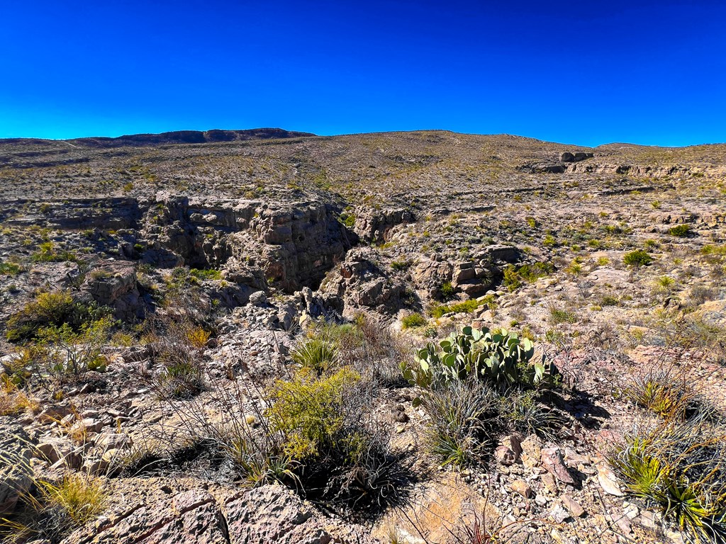 52742 Mariposa Mine Rd, Terlingua, Texas image 13