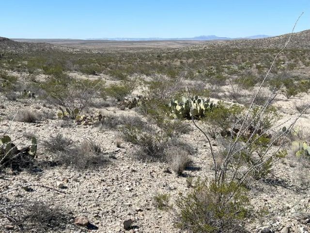 21553 Black Peak, Terlingua, Texas image 3