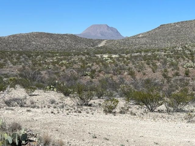 21553 Black Peak, Terlingua, Texas image 2