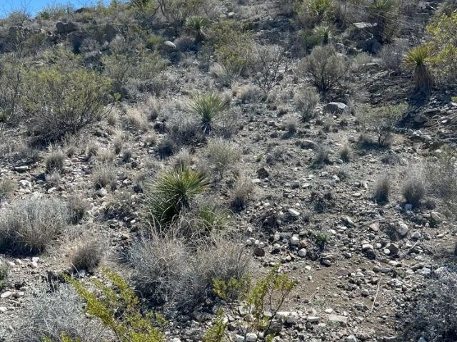 21553 Black Peak, Terlingua, Texas image 9