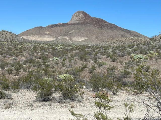 21553 Black Peak, Terlingua, Texas image 1