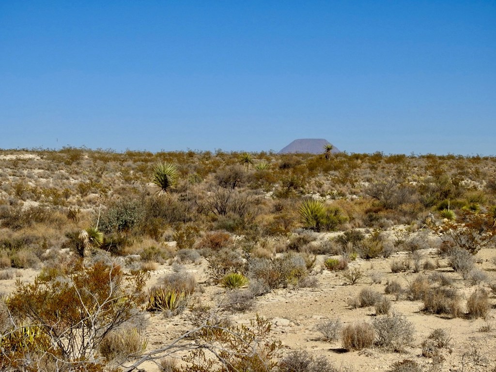 TR 4848 E Spanish Sky Rd, Terlingua, Texas image 13