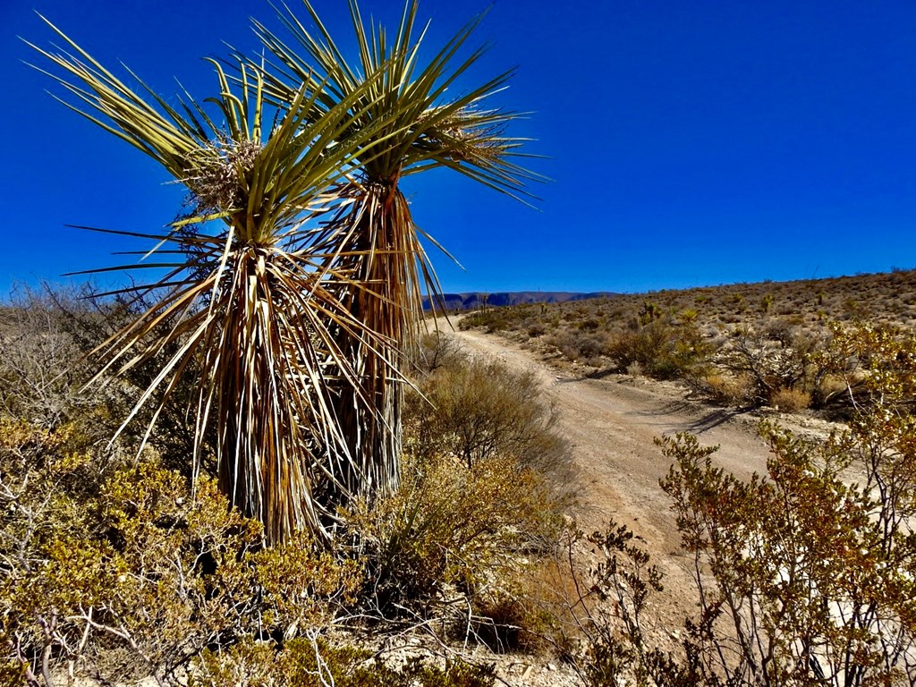 TR 4848 E Spanish Sky Rd, Terlingua, Texas image 23