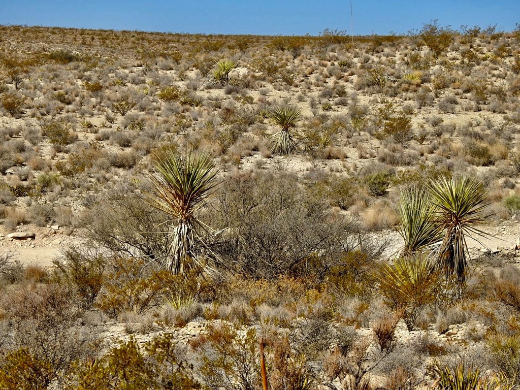 TR 4848 E Spanish Sky Rd, Terlingua, Texas image 8