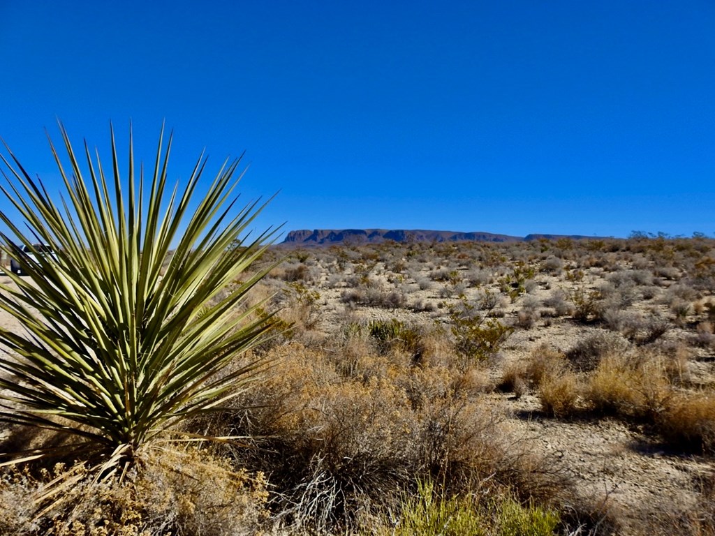 TR 4848 E Spanish Sky Rd, Terlingua, Texas image 14