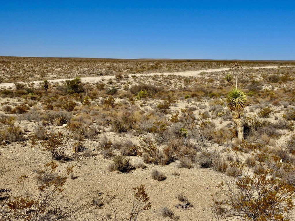 TR 4848 E Spanish Sky Rd, Terlingua, Texas image 12