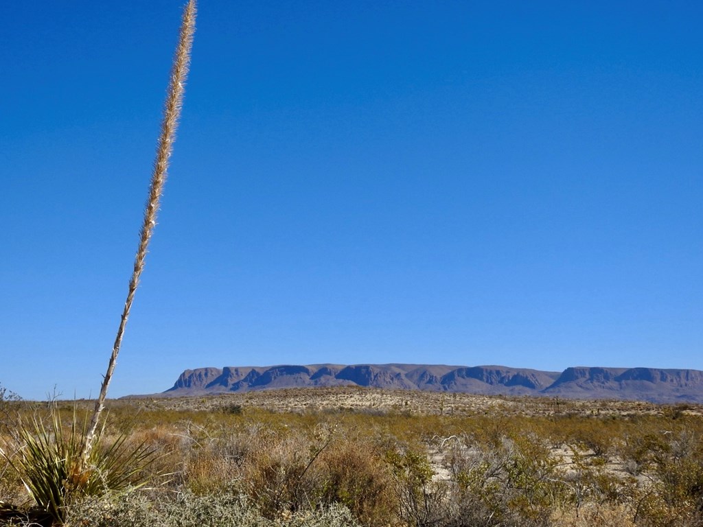 TR 4848 E Spanish Sky Rd, Terlingua, Texas image 34