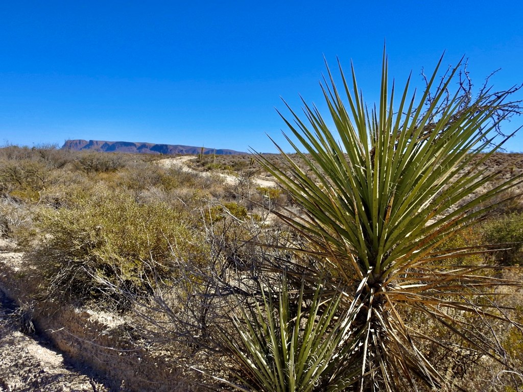 TR 4848 E Spanish Sky Rd, Terlingua, Texas image 24