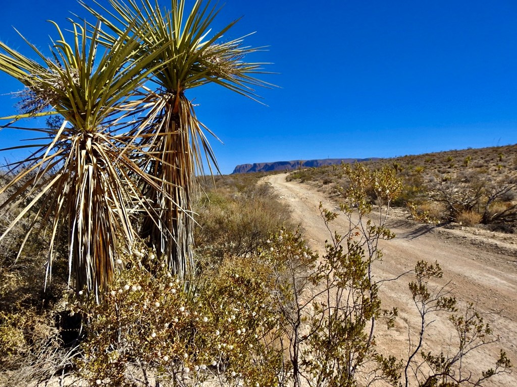 TR 4848 E Spanish Sky Rd, Terlingua, Texas image 37