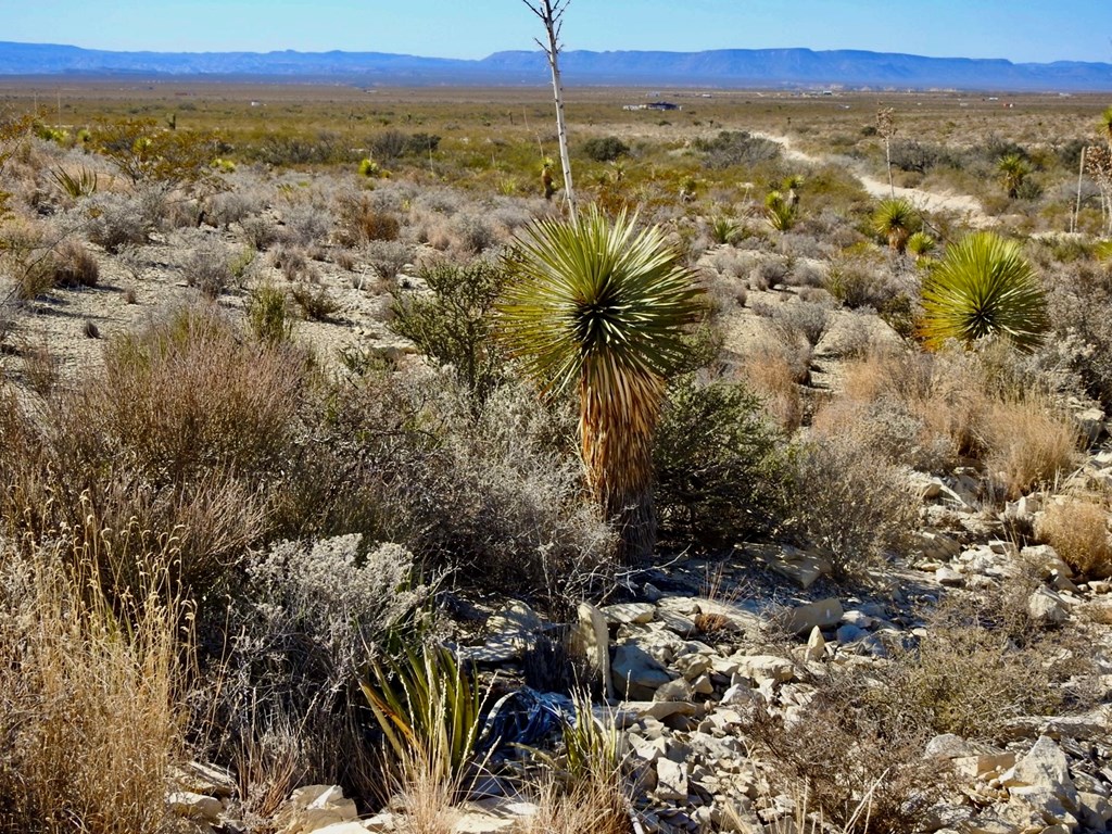 TR 4848 E Spanish Sky Rd, Terlingua, Texas image 9