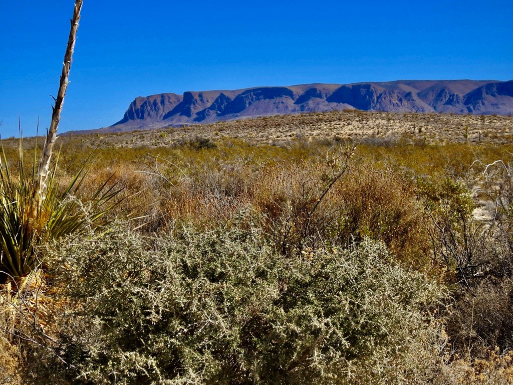 TR 4848 E Spanish Sky Rd, Terlingua, Texas image 25