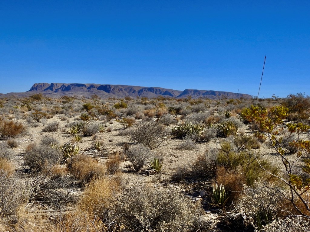 TR 4848 E Spanish Sky Rd, Terlingua, Texas image 21