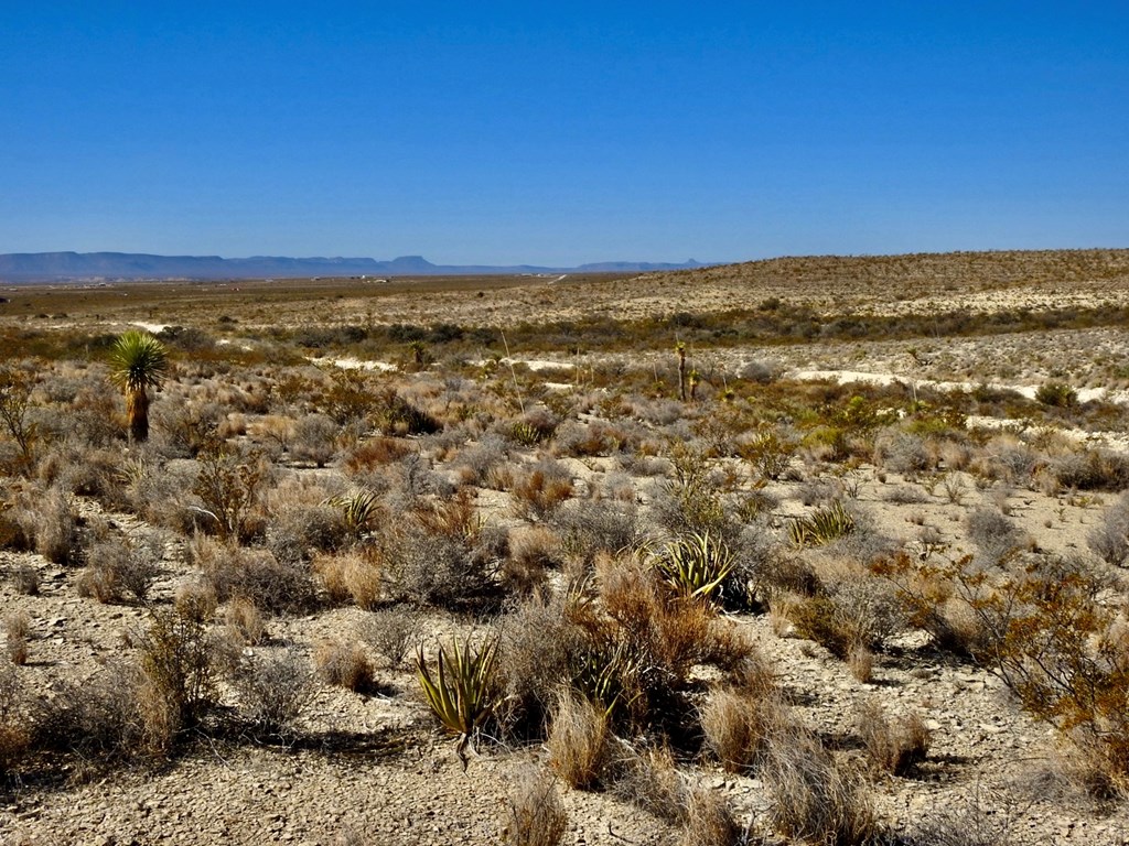 TR 4848 E Spanish Sky Rd, Terlingua, Texas image 15