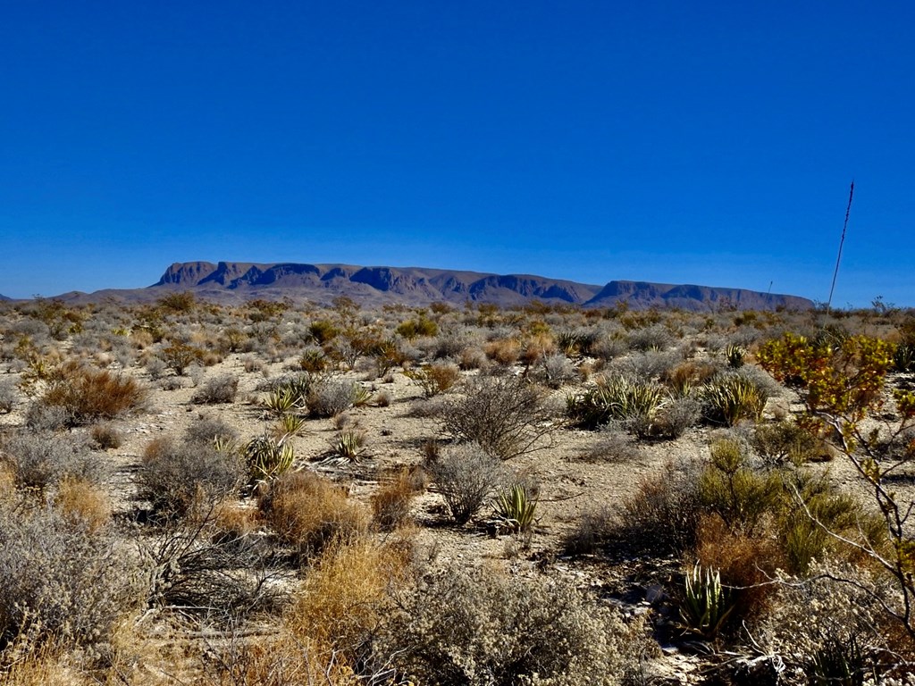 TR 4848 E Spanish Sky Rd, Terlingua, Texas image 20