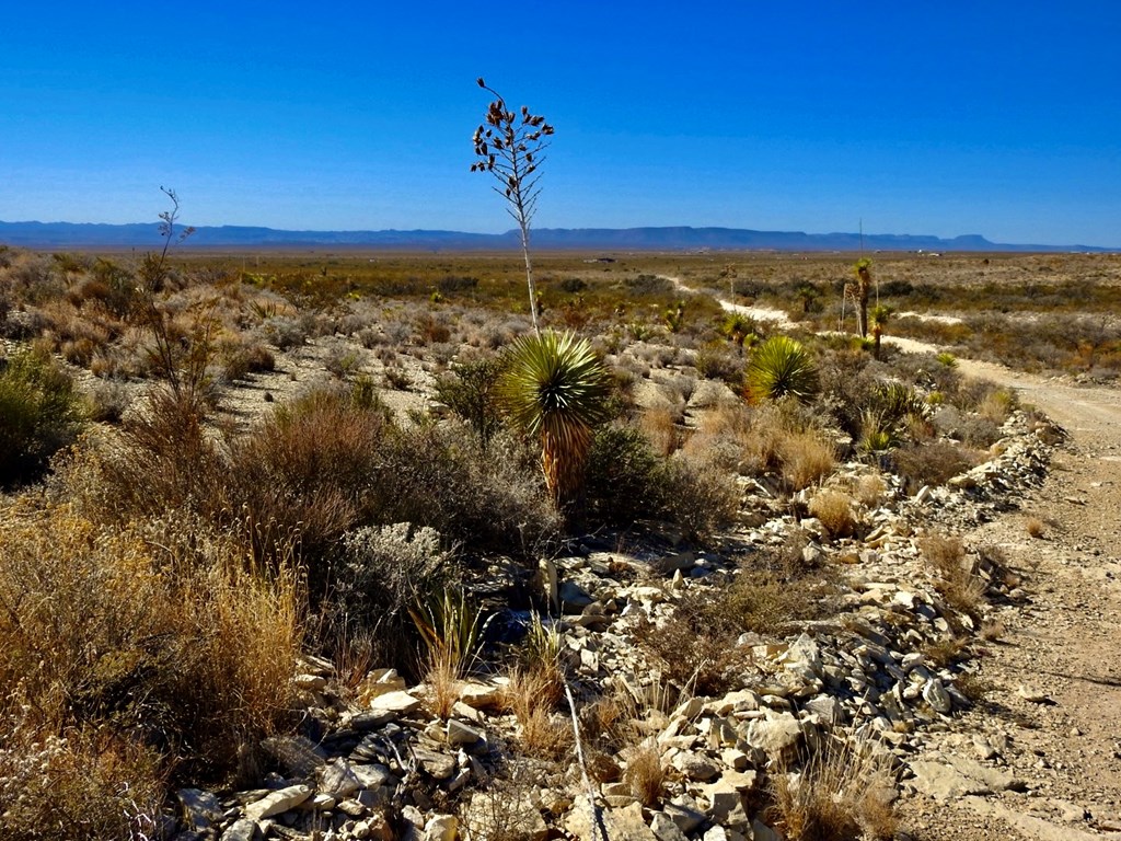 TR 4848 E Spanish Sky Rd, Terlingua, Texas image 10