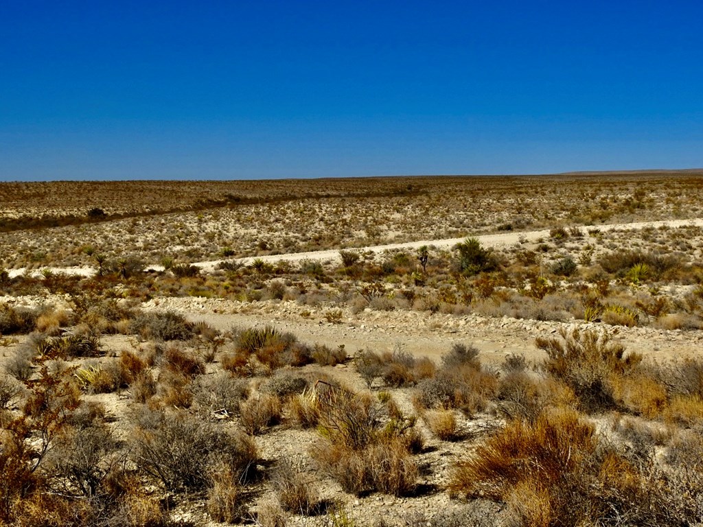 TR 4848 E Spanish Sky Rd, Terlingua, Texas image 19