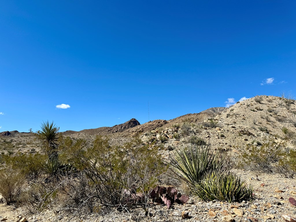 TR 707 Private Rd, Terlingua, Texas image 9