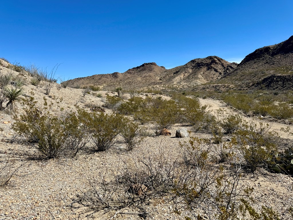 TR 707 Private Rd, Terlingua, Texas image 10