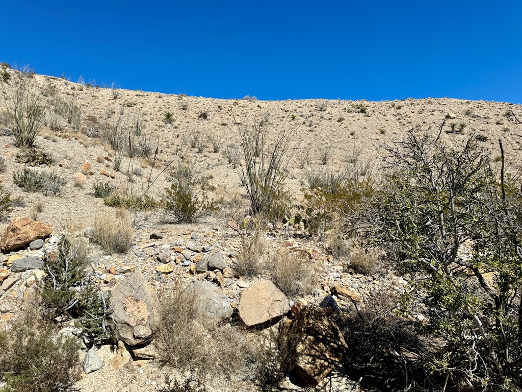 TR 707 Private Rd, Terlingua, Texas image 5