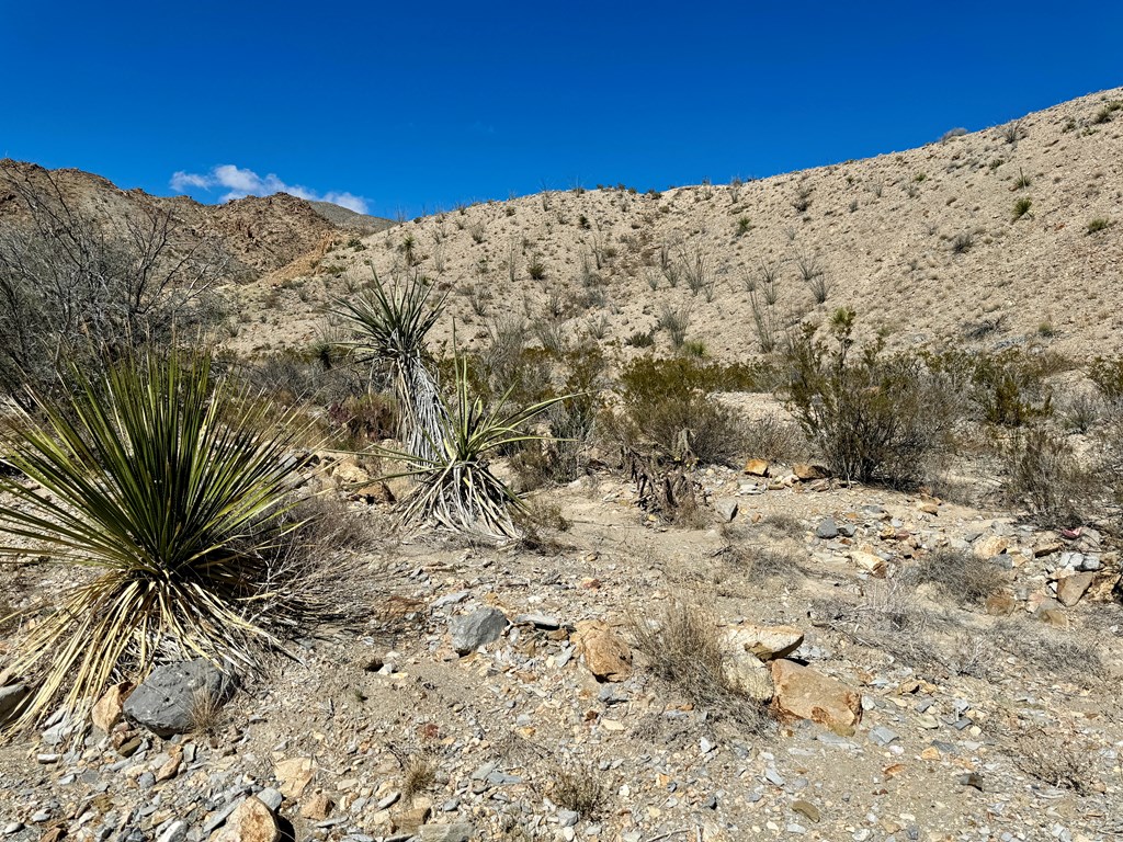 TR 707 Private Rd, Terlingua, Texas image 7