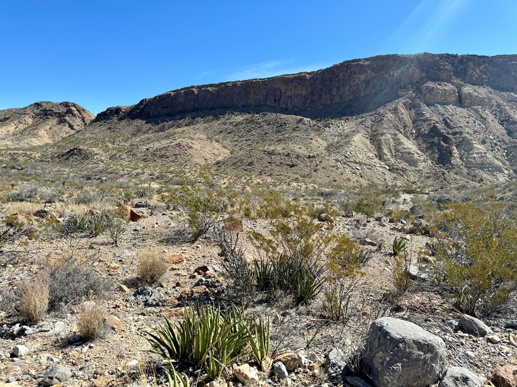 TR 707 Private Rd, Terlingua, Texas image 3